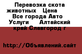 Перевозка скота животных › Цена ­ 39 - Все города Авто » Услуги   . Алтайский край,Славгород г.